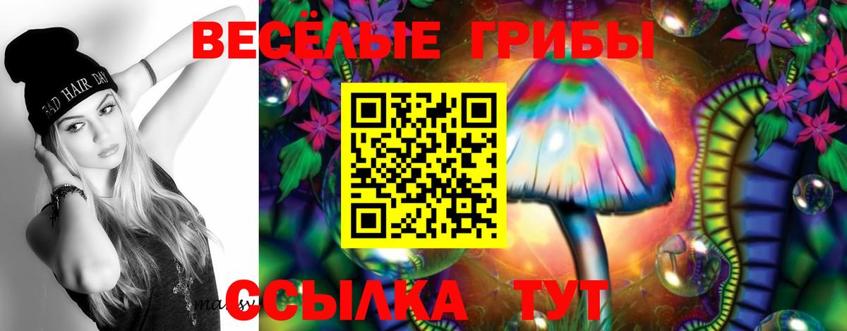 Псилоцибиновые грибы прущие грибы  Вход с VPN  Галлюциногенные грибы мухоморы  Алушта 